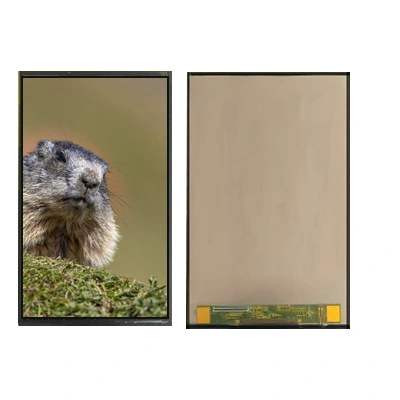 7 Inch Tft Lcd Module